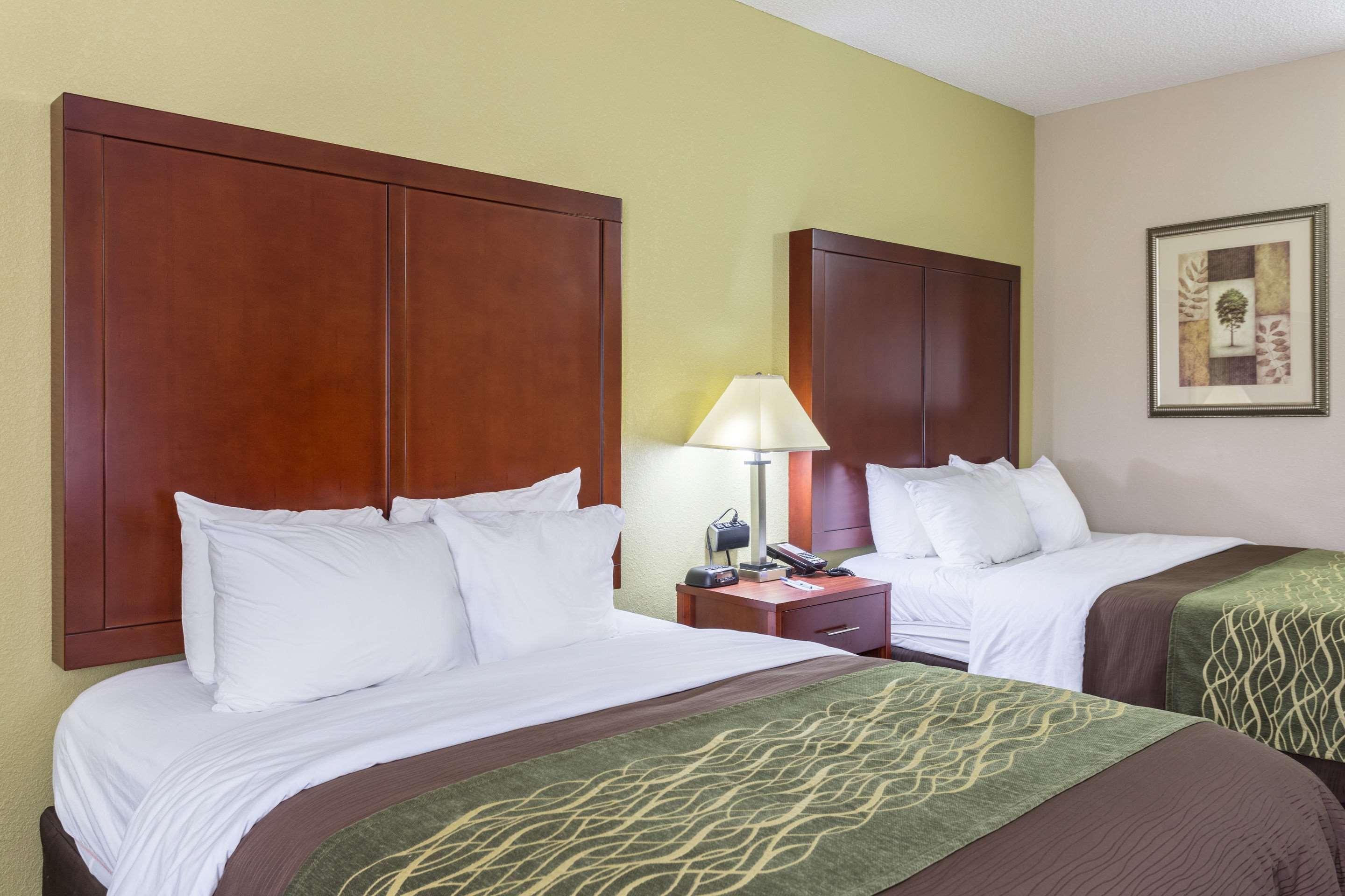 Comfort Inn Decatur Priceville מראה חיצוני תמונה
