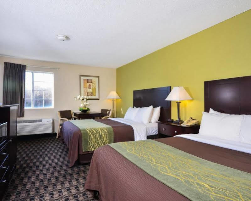 Comfort Inn Decatur Priceville מראה חיצוני תמונה
