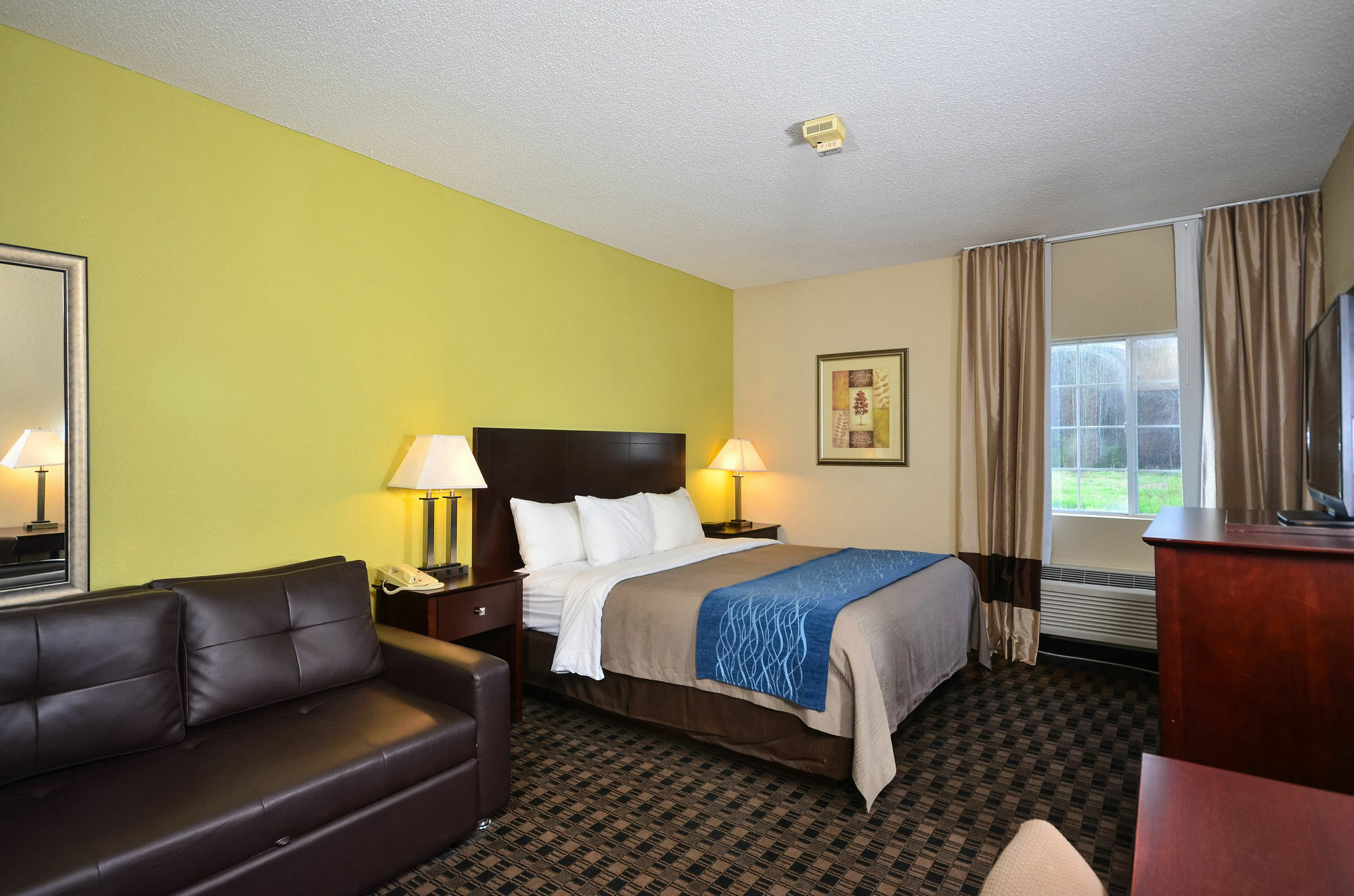 Comfort Inn Decatur Priceville מראה חיצוני תמונה
